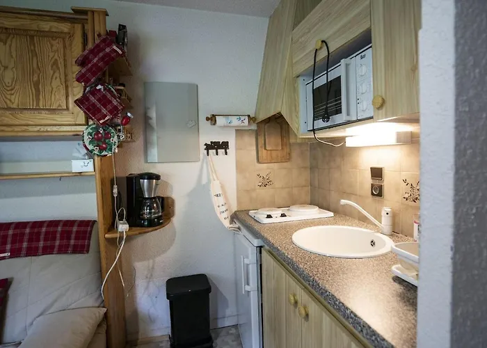 4 Pers, Animaux Admis, Balcon, Parking - Fr-1-676-151 Lejlighed